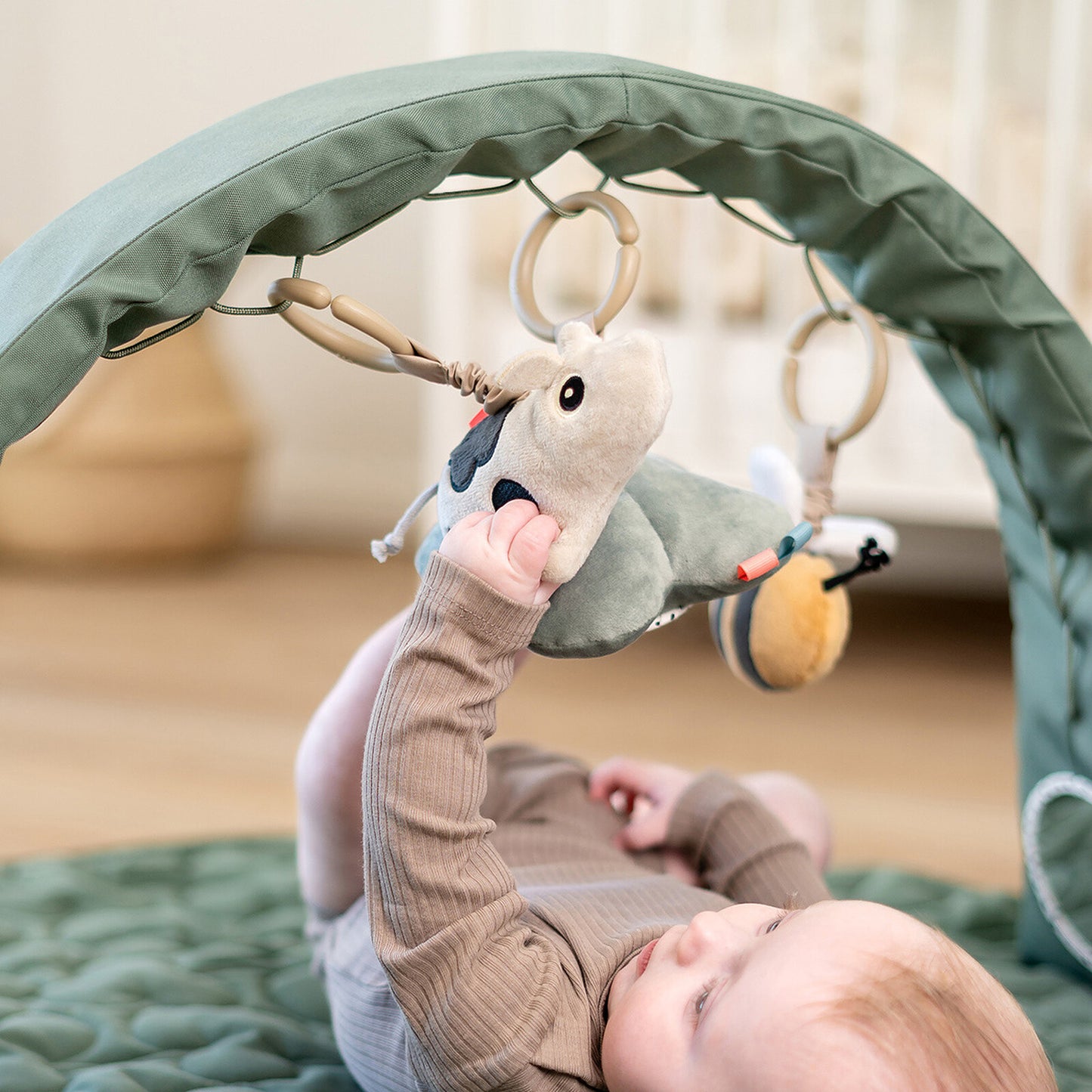 Arche d’activités Tiny Farm installée au-dessus d’un tapis