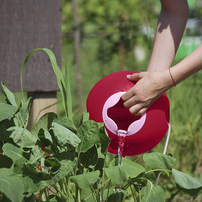 Seau Ballo - Cerise Quut