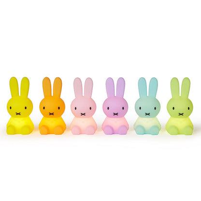 Miffy Bundle of Light - Colorful Mr Maria