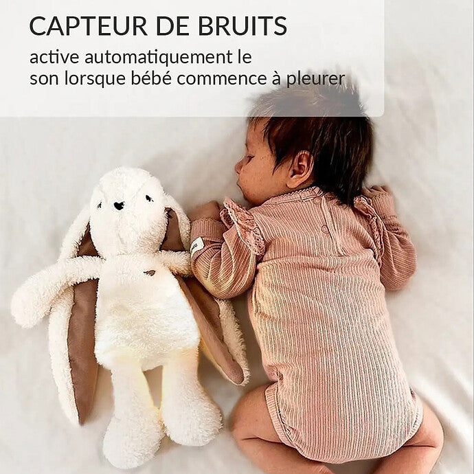 Peluche