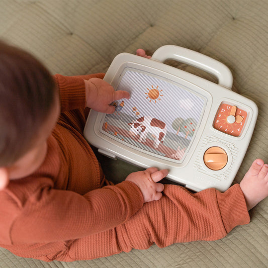 Jouet musical bébé avec manivelle – univers ferme Little Dutch